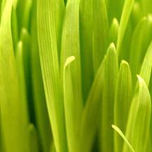 平台在线ddos压力测试