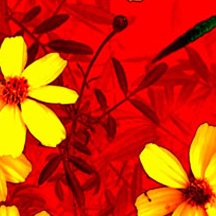 平台在线ddos压力测试