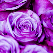 小黑ddos压力测试平台