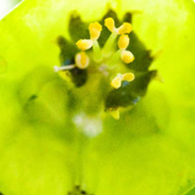 智能数据分析的黑客靠什么攻击服务器